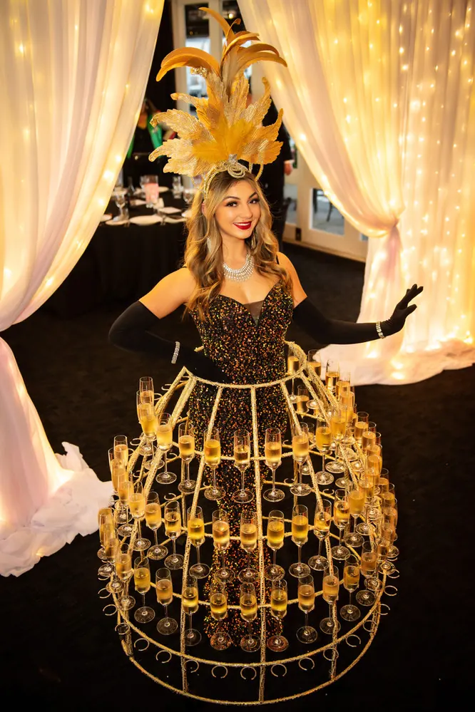 Meet and greet entertainment by Finesse Entertainment — photograph 1