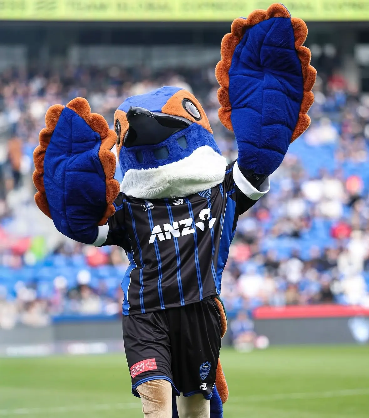 Mascot character event entertainment