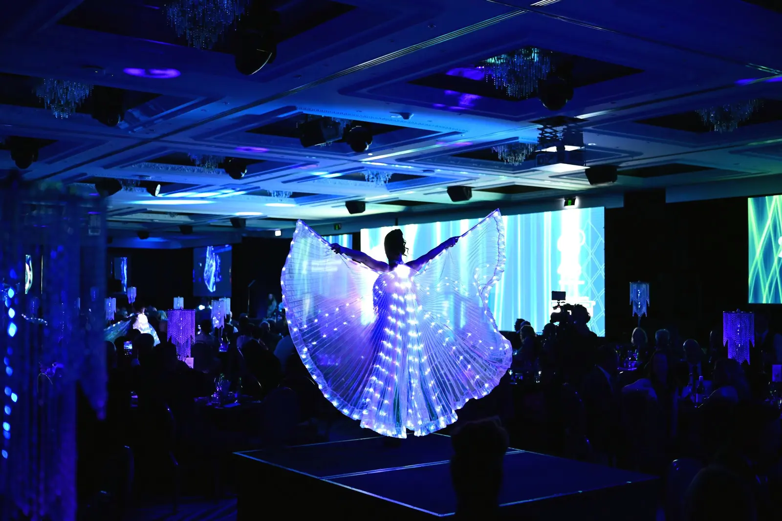 Professional dance performers live event